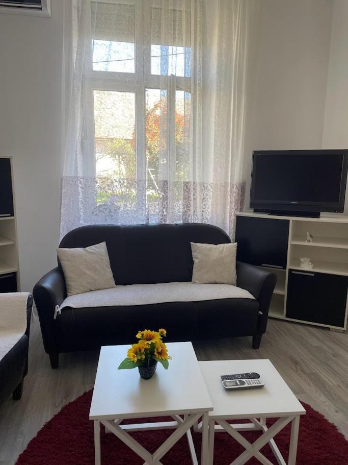 Apartment Milijana Subotica Extérieur photo